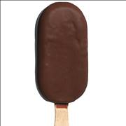 Chocolate Ice Cream on Stick
